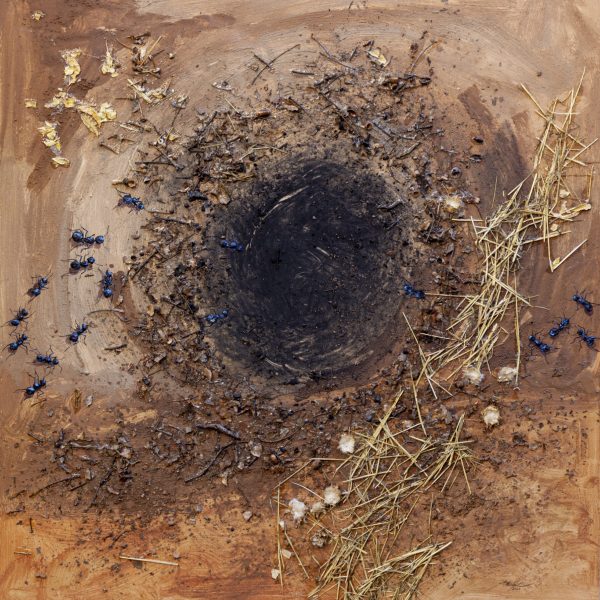 El círculo negro. Tierras, paja, cardos, hojas secas, bellotas, carbón y acrílico sobre tabla. 122 x 114 cm. 2024